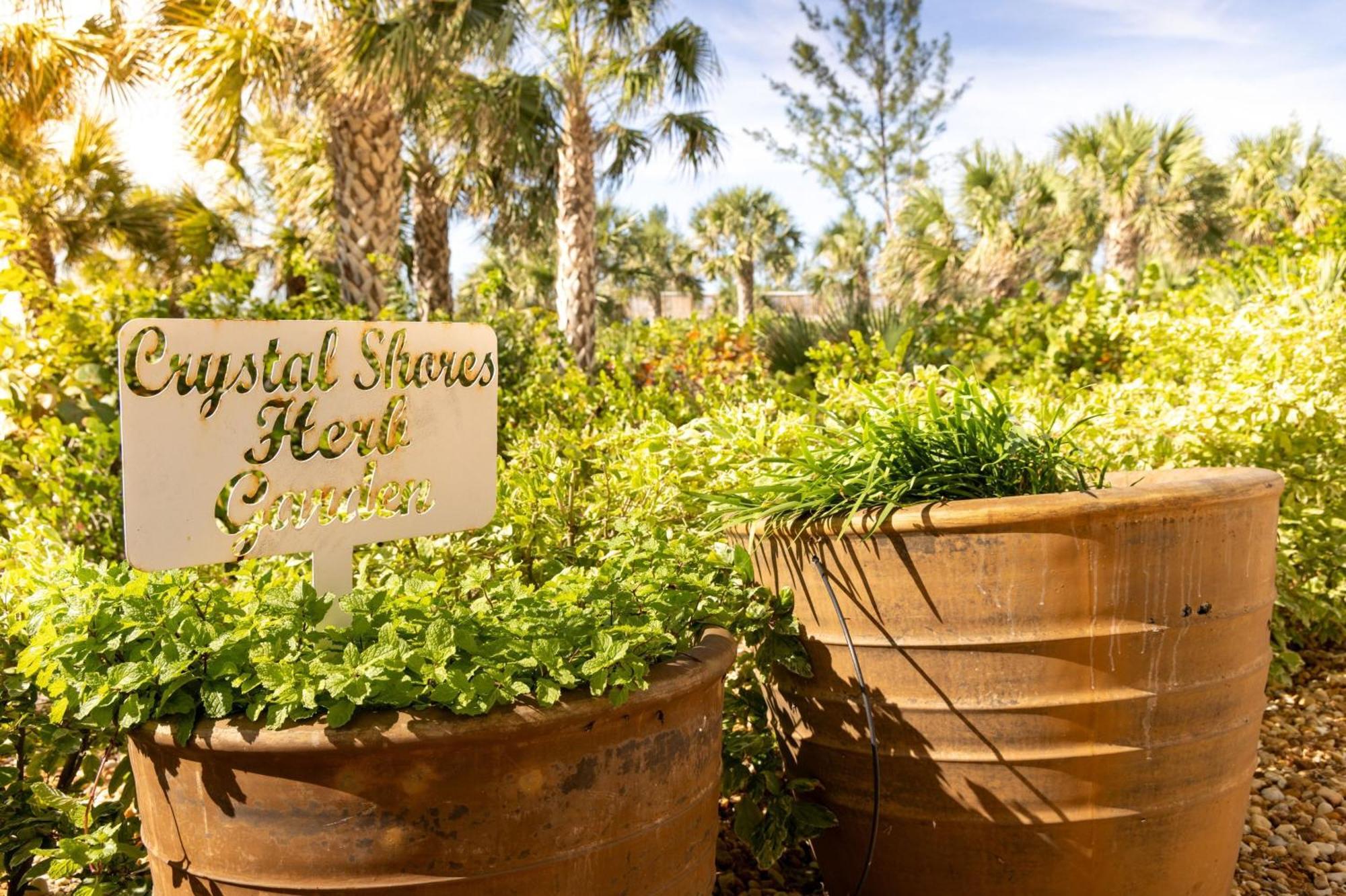 Marriott'S Crystal Shores Marco Island Buitenkant foto